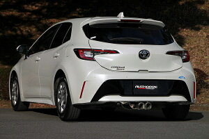 フジツボ(FUJITSUBO) A-RM+c マフラー トヨタ カローラスポーツ 3BA-NRE210H 8NR-FTS CVT車/MT車共通 1.2 ターボ車専用 2WD 1200cc 2018年06月〜 Wテール センター出し ステンレス+カーボンモデル 250-22161 muffle