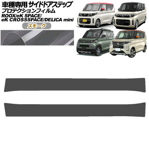 veNVtB TChhAXebv Y [NX B40n  2023N06` X[N F1Zbg(2) Protection film side door step