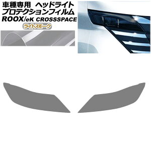 veNVtB wbhCg Y [NX B40n  2023N06` CgX[N F1Zbg(E) protection film headlights