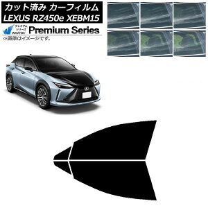 J[tB NTX RZ450e XEBM15 2023N03` tghAZbg WINCOS v~A Iׂ6tBJ[ AP-WFHC0407-FD Car film