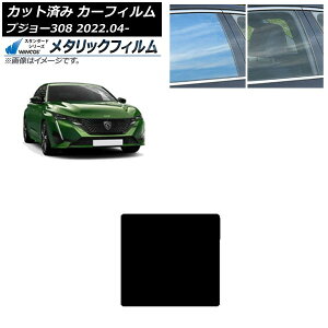 J[tB vW[ 308 P51/52n 2022N04` T[t WINCOS ^bN SL18 AP-WFWM0442-S Car film