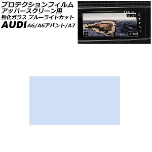 veNVtB Abp[XN[p AEfB A6/A6Aog F2n 2019N` NA 10.1C` KX u[CgJbg