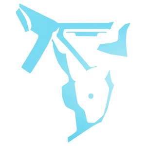 �Z���^�[�R���\�[���X�e�b�J�[ �g���^ �X�[�v�� DB06 MT�ԗp RZ 2019�N05���` �}�b�g�� �F�O���[�v2 AP-PA2CFMT0004 Center console sticker