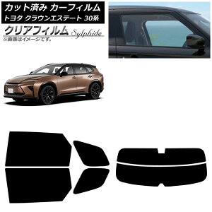 J[tB g^ NEGXe[g 30n 2025N03` AZbg() NAtB FGR500 AP-WFFG0487-RDR2 Car film