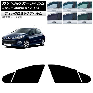 J[tB vW[ 308 T75 5hA 2008N`2014N tghAZbg tHgN~bN u[7025 AP-WFPM0353-FD Car film