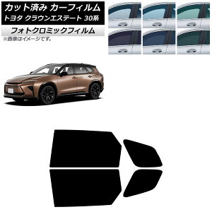 J[tB g^ NEGXe[g 30n 2025N03` AhAZbg tHgN~bN u[7025 AP-WFPM0487-RD Car film