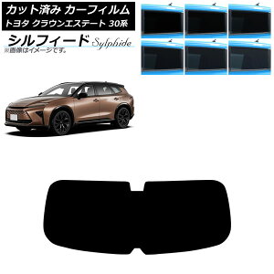 J[tB g^ NEGXe[g 30n 2025N03` AKX(1^) VtB[h Iׂ6tBJ[ AP-WFSC0487-R1 Car film