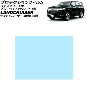 �v���e�N�V�����t�B���� ���A�X�N���[���p �g���^ �����h�N���[�U�[ 300�n ��� 2025�N03���` �u���[���C�g�J�b�g PET�� 11.6�C���` AP-IT4642-PET-BL Protection film for rear screen
