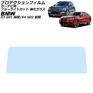 �v���e�N�V�����t�B���� �J�[�i�r�p BMW X4 G02 �O�� 2018�N10���`2021�N10�� �u���[���C�g�J�b�g �����K���X 10.25�C���` For protection film car navigation
