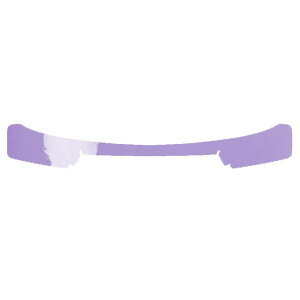 �J�[�X�e�b�J�[ ���N�T�X UX 10�n 2018�N11���` ���� ���A�X�e�b�v �O�� �F�O���[�v2 AP-PF2GS0163 car stickers