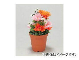 楽天市場 ガーベラ 鉢の通販 楽天市場 ガーベラ 鉢の通販