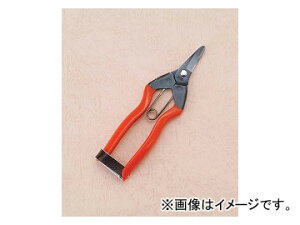 ѐ zH ̉ʁE S-20 F12 Success tangerine scissors