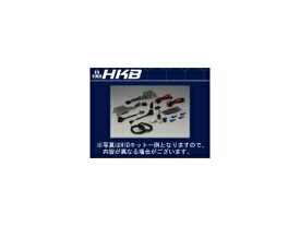 HKB APOLLON/アポロン HID 45W シリーズ コンバージョンキット 5500K H4 HI/LOW エクオリティスライド valve