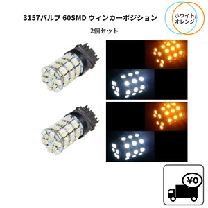 `O3157 _u 2Zbg 60SMD zCg / IW EFbW LED OK EBJ[ |WV ؂ւ\ 