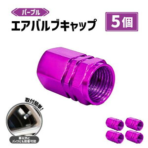 �G�A�o���u �L���b�v �p�[�v�� �� 5�� �Z�b�g �A���~ �� �o�C�N �^�C���o���u �G�A�[ �h���X�A�b�v �y�� �^�C�� �z�C�[�� �ėp ��`�O ����