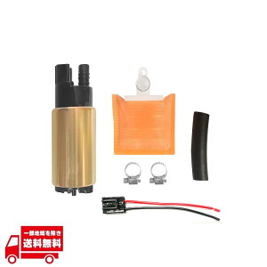 t[G|v Zbg 255L H R|v e ėp Lbg K\|v p RtB^[ z[X Nv zJv[   _Ǝ R^N