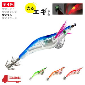  GM uu[ _  2.5 LED Cg Ɩ W  Xbe hbp[ Gr CJ ^R ނ A[ 12.5g 10cm