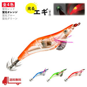  GM uIW _  2.5 LED Cg Ɩ W  Xbe hbp[ Gr CJ ^R ނ A[ 12.5g 10cm