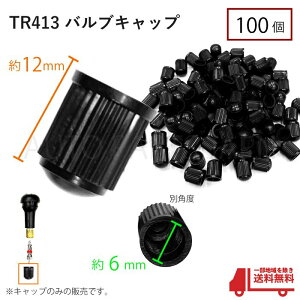 TR413 GAou Lbv 100 Sou zC[ VS ^C  oCN ] ^O 