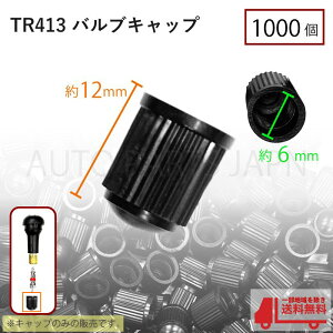 TR413 GAou Lbv 1000 Sou zC[ VS ^C  oCN ] ^O 