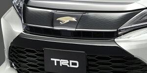 TRD eB[A[fB[TRD nA[ 60n  tgop[K[jbV ubN MS312-48001