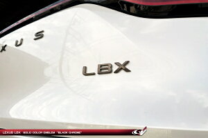 O[WINTX LBX MAYH10 W Gu LBX̂ ubNN[