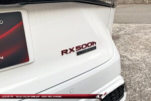 �O���[�W�I���N�T�X RX500h TALH17 �G���u���� RX500h �f�B�[�v���b�h