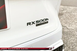 O[WINTX RX500h TALH17 Gu RX500h ubNIjLX