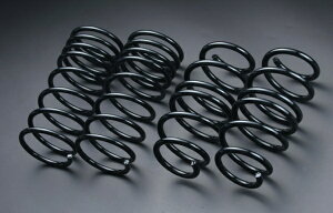 Vs[Q_Cnc Ry L880K KS4 (P[GXtH[) [_EXvO