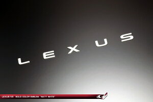 �O���[�W�I���N�T�X RX300 AGL20 �G���u���� LEXUS �}�b�g�z���C�g