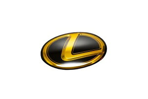 O[WINTX ES300h AXZH11 F SPORT (2022/08`) Gu tgL}[N S[hN[