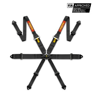 6_V[gxg PRO DRIVER 6P(v hCo[ 6P) ubN