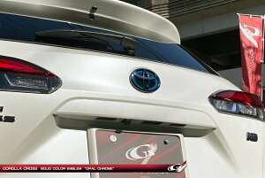 O[WIJ[NX HEV ZVG10 (2025/05`) Gu ATA[N Ip[N[