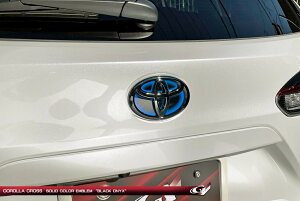 O[WIJ[NX HEV ZVG10 (2025/05`) Gu ATA[N ubNIjLX