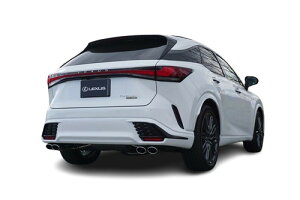 GNXA[gNTX RX500h TALH17 F SPORTWop[p EXART ONE}t[ VL[TEh I[o(110×70mm) J[{e[