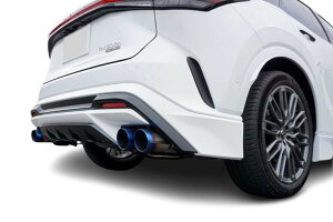 GNXA[gNTX RX350 TALA15/10 TRDAfBt[U[p EXART ONE}t[ VL[TEh ~^101 Ot@Cge[