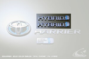 O[WInA[nCubh AV65 (2013/12`2020/05) \bhJ[Gu TChHYBRID EZbg }bgzCg