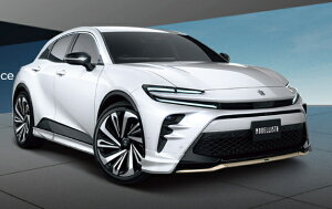 fX^NEX|[c MODELLISTA GAp[cZbg ABS fn hylsz