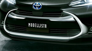 fX^ANA MXPK10n tgOK[jbV ABS bLylsz