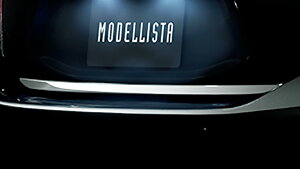 fX^ANA NHP10  obNhAK[jbV (bL)ylsz