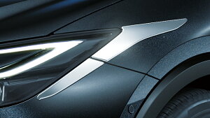 fX^vEX 60n N[VCLbgylsz