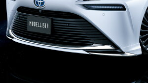 fX^MIRAI JPD20 tgX|C[ fnylsz