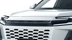 ���f���X�^RAV4 64 Z�O���[�h MODELLISTA �t�����g�O���� �f�n ���h���y�l����s�z