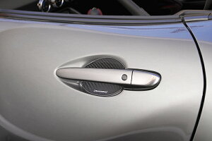 �I�[�g�G�N�[CX-80 KL �h�A�n���h���v���e�N�^�[ B�^�C�v �J�[�{���� ���E2���Z�b�g �u���b�N