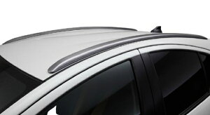 GGbNX[hANA NHP10n  LX[t[ FRP Vo[