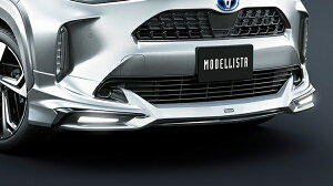 fX^XNX 10n PVM ADVANCE ROBUST STYLE tgX|C[ h ZVAbh}CJ