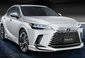 fX^NTX RX350/450h+ version L ALA/ALH10n MODELLISTAGNXpVpbP[W h \jbNNH[c