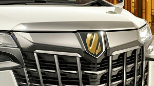 fX^At@[h 30 GA{fB TYPE GOLD  tgOJo[ X[NbL
