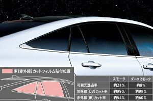 fX^MIRAI JPD20 IR(ԊO)JbgtB _[NX[N