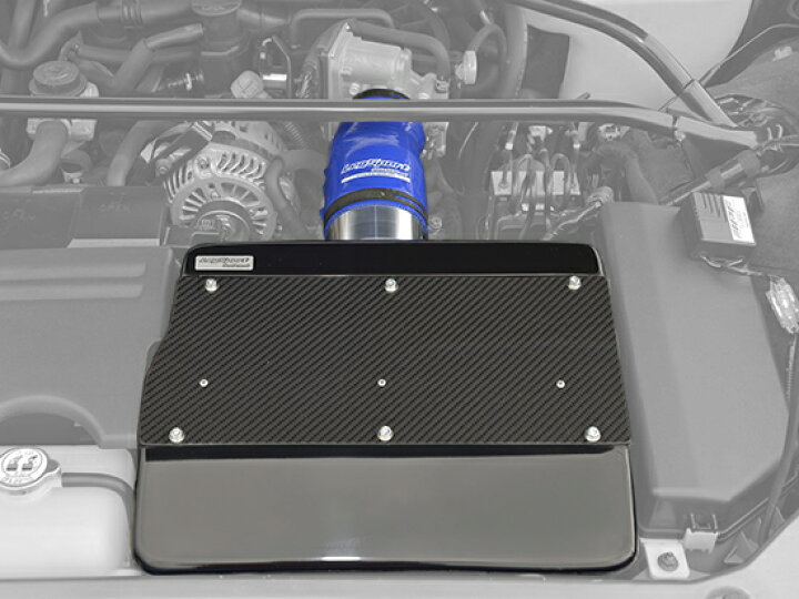 楽天市場】レッグモータースポーツRX-8 SE3P ハイパーインテークBOX 